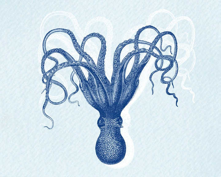 Antique Illustration octobus - print on Fine art watercolor paper 8x10 inch.