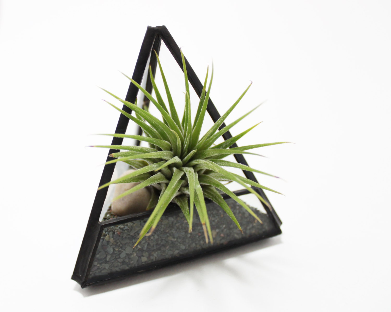 Mini Air Plant Triangle Terrarium Kit in Stained Glass - Desk Garden - SHIPS TO CANADA