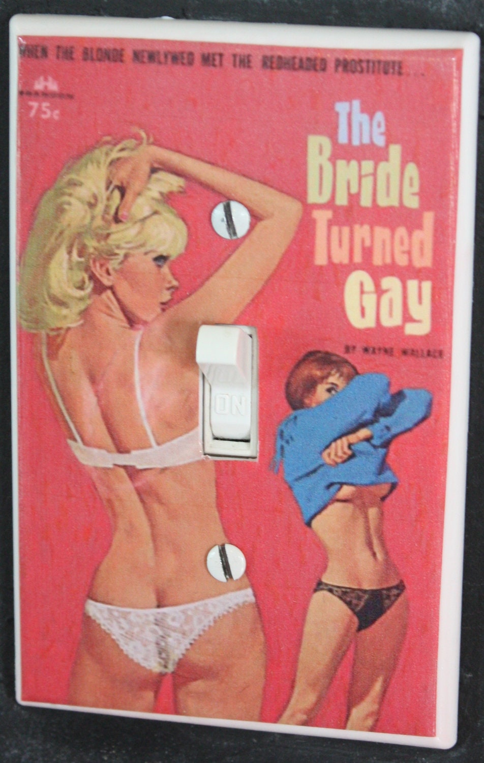 The Bride Turned Gay Light Switch Cover