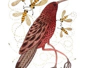 Bee Eater bird art giclee print watercolor reproduction