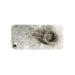New Iphone  5, 4, 4s,  Plastic Case " Bird's Eye View"