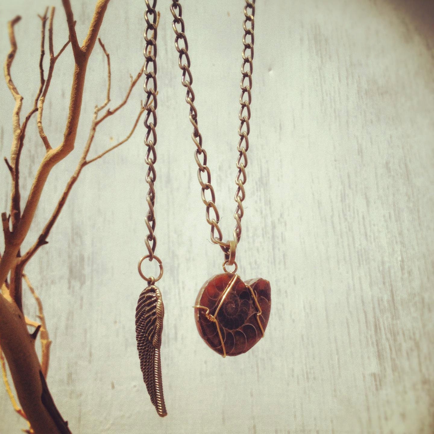 Ammonite Men's Necklace, fibonacci sequence, sacred geometry,