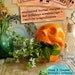 SALE // MORNING MISCHIEF - Enchanted Herbal Recipes for Delicious Awakenings & Resolute Magnificence // herb ebook herbal medicine