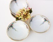 Berry Bowls, Porcelain Soup Bowls, Coupe Cereal Bowl, Bavarian / Blue / Violet / Orange / Pink