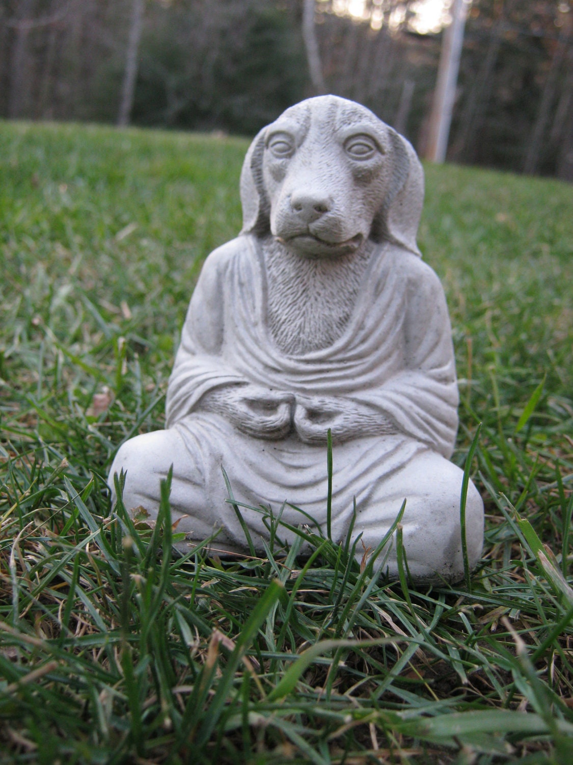 Buddha Dog, Meditating dog, Concrete Dog