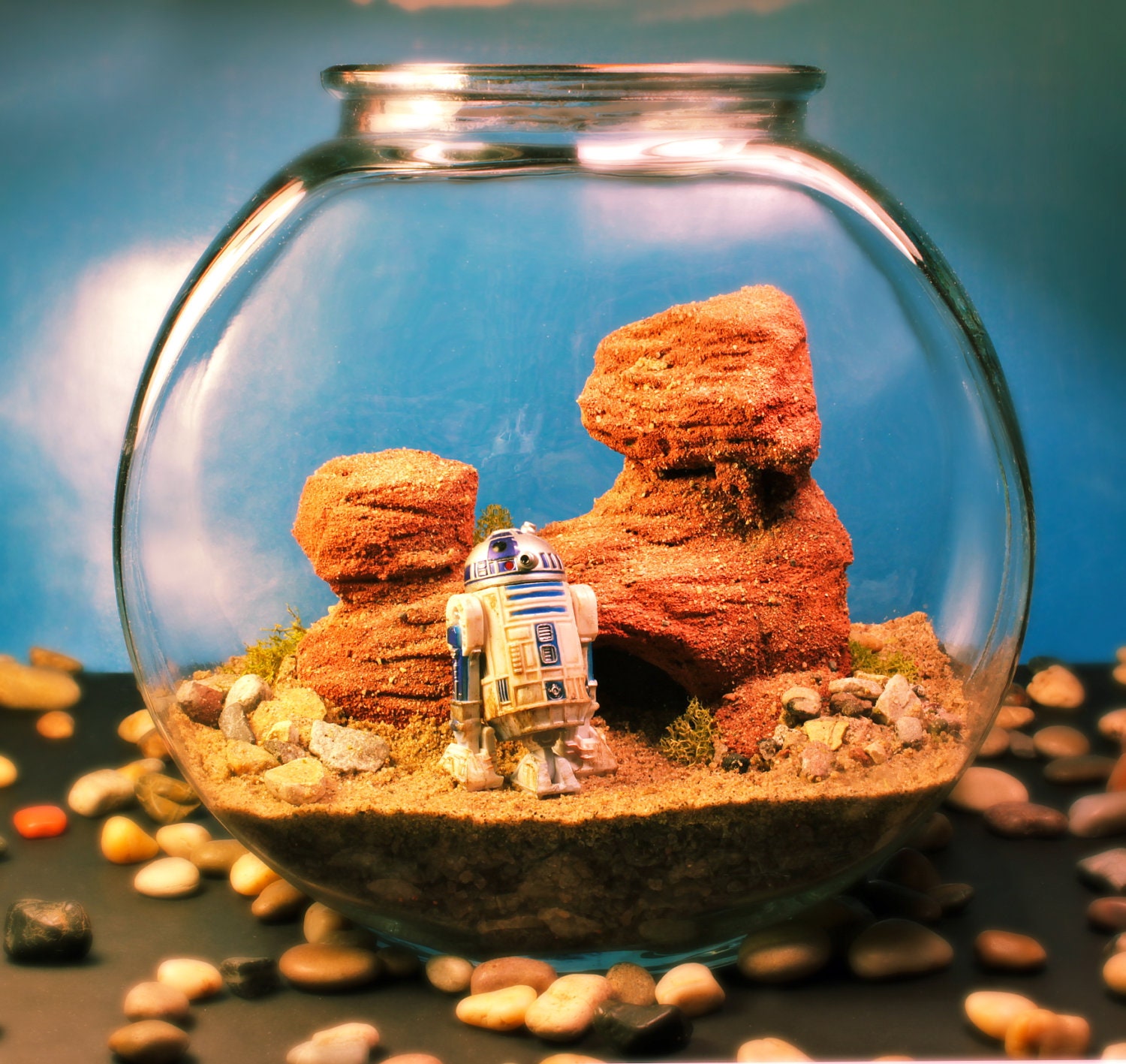 R2D2 on Tatooine - Star Wars Terrarium World