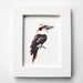 Laughing Kookaburra, Geometric art, Australian Bird, Print, Original illustration, Art, A4, A3, A5, Custom size