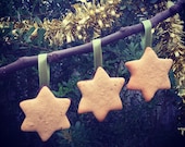 Rustic Choc-Dipped Gingerbread Star Cookie Decorations