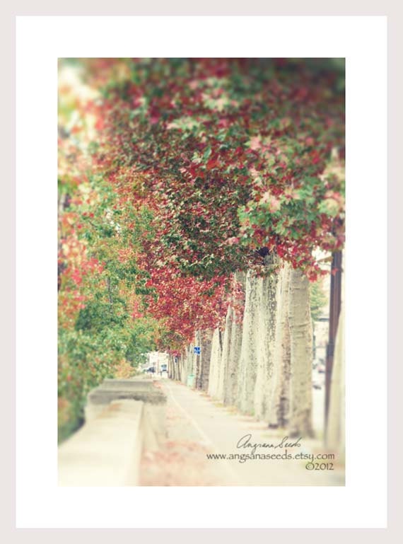 Autumn Fall decor- Orange red leaves- Dreamy pastel misty- Botanical floral art- 8x12- holiday gifts- harvest- chic wall decor