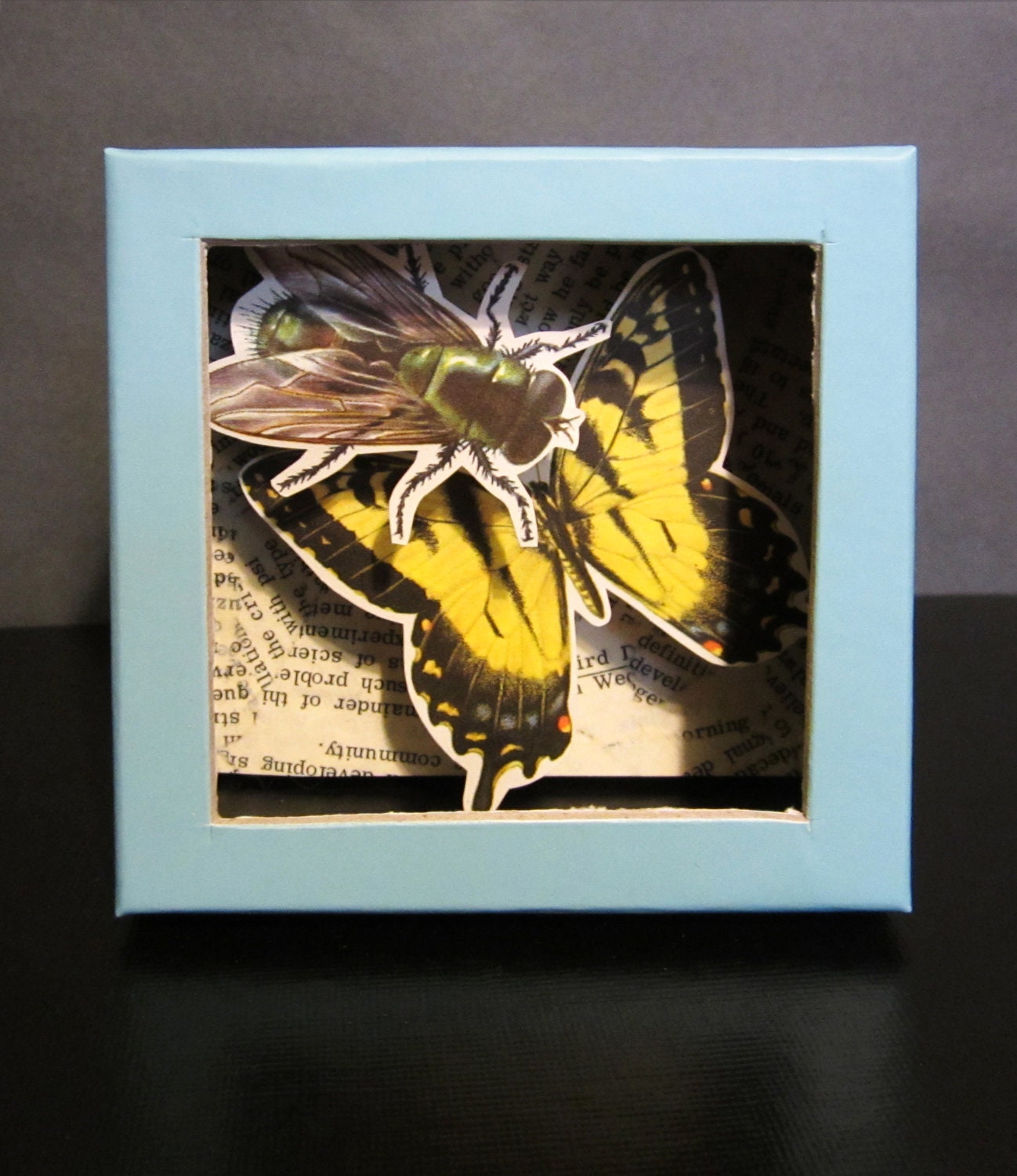 Small Box Diorama - Shadowbox with Recycled Book Pages - Fly, Butterfly - Blue, Yellow, Black, Green