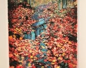 Autumn flowing down stream, 11x17, Original, Fine art photograph, autumn photography, nature decor, stream, landscape, drawing altered