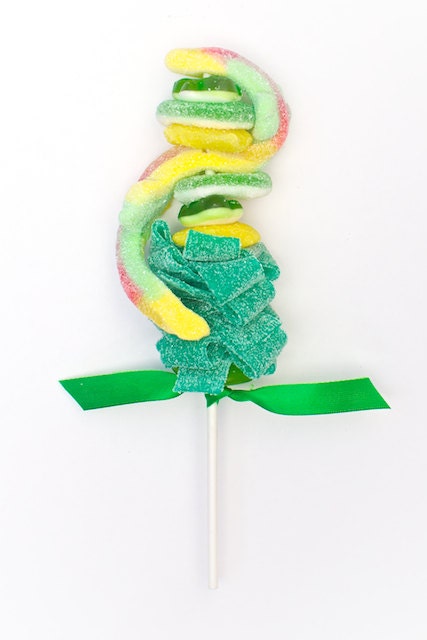 Leapin' Lizard Sweet Skewer - 12