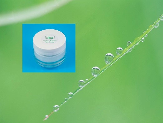 Natural Skin Care Face Moisturizer Cream DOUBLE Size, Botanical Anti Aging Skincare, Custom Blended Facial Moisturizer