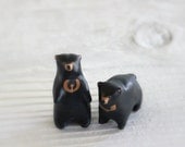 Bear totem -Sun bear totem