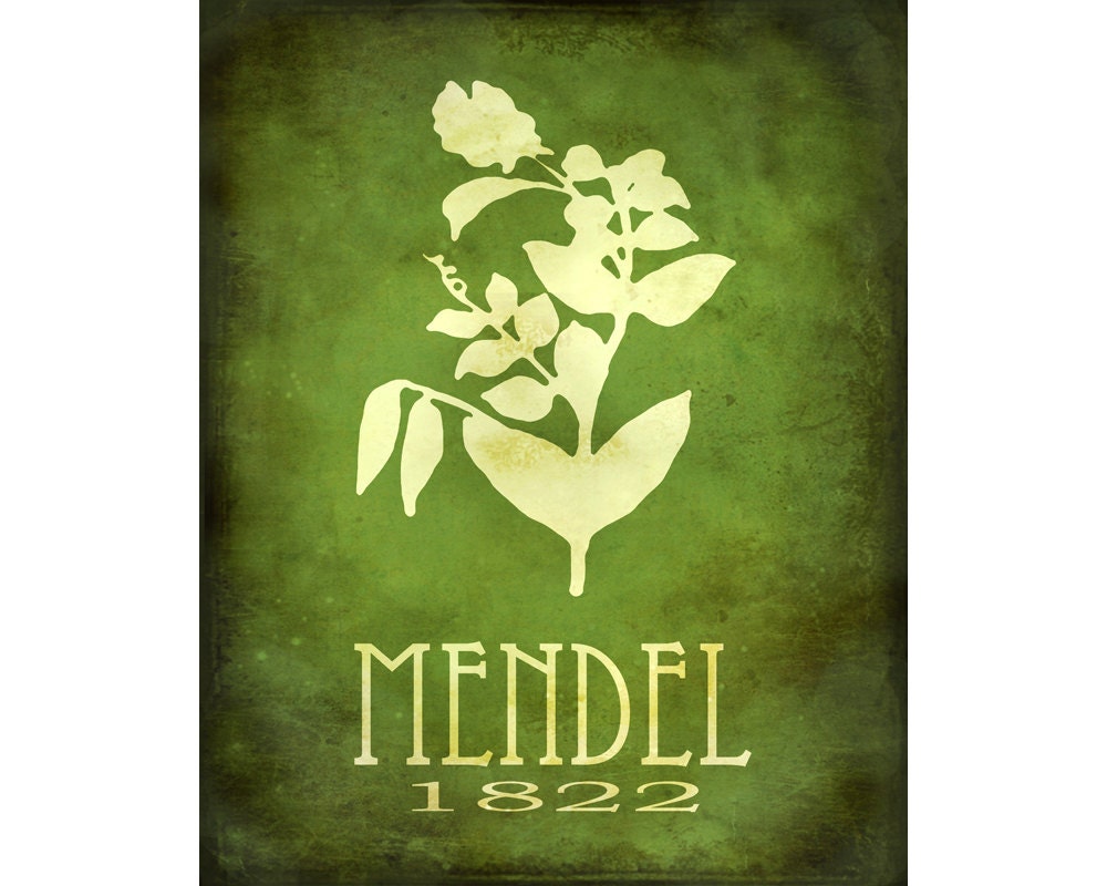 Science Art Print 8x10 - Gregor Mendel Steampunk Art Poster, Rock Star Scientist Art, Pea Plant Genetics, School Art, Geneticist Wall Decor