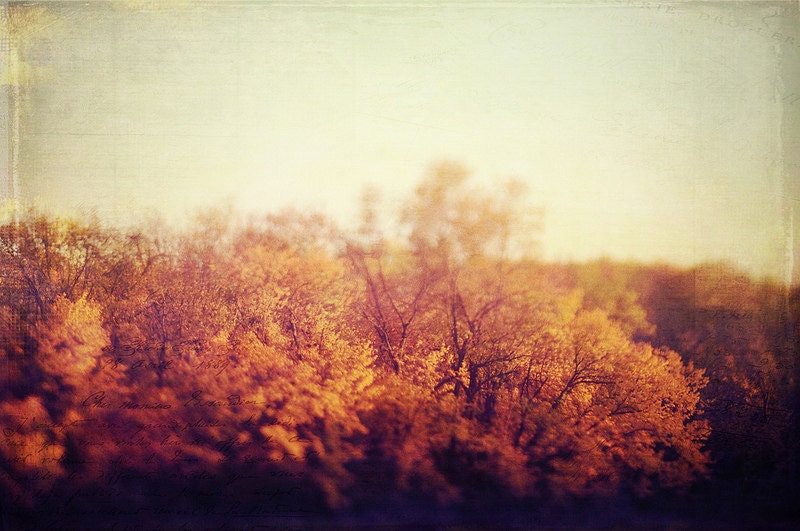 Fine Art Photography Textured Red Vivid Autumn Leaves 8x10 Photo Bokeh Modern Wall Decor