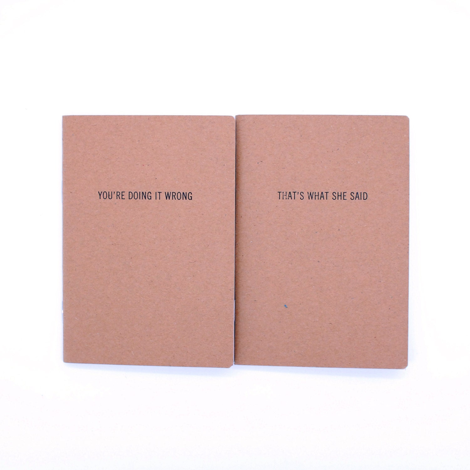 You're Doing it Wrong / That's What She Said Pocketbooks