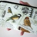 Bird Large Coin purse zipper pouch Eco Friendly Padded NEW Natures Bird Walk