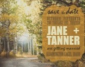 75 Wedding save the date cards 5x7 -Aspen trees