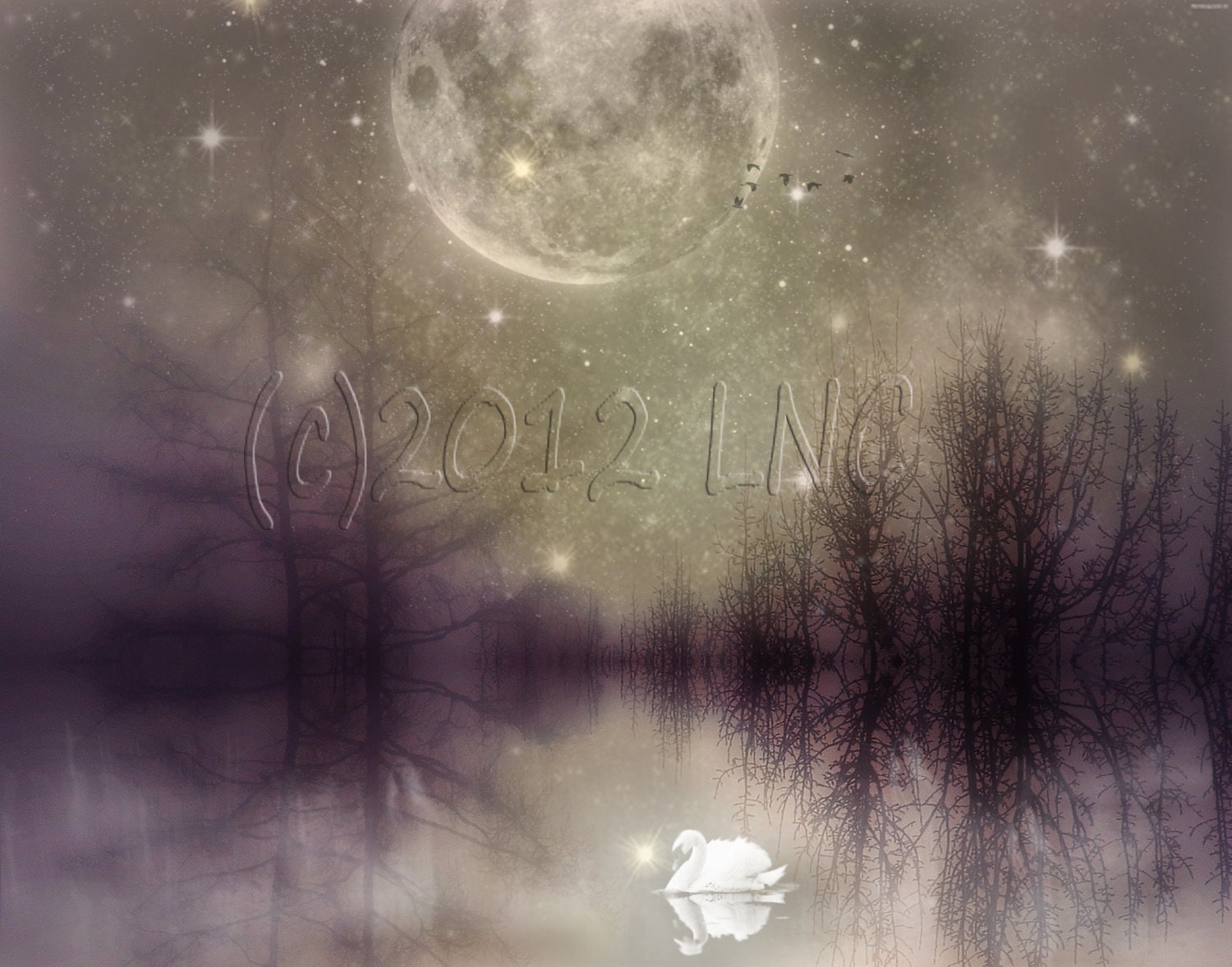 Desktop Wallpaper Swan Lake