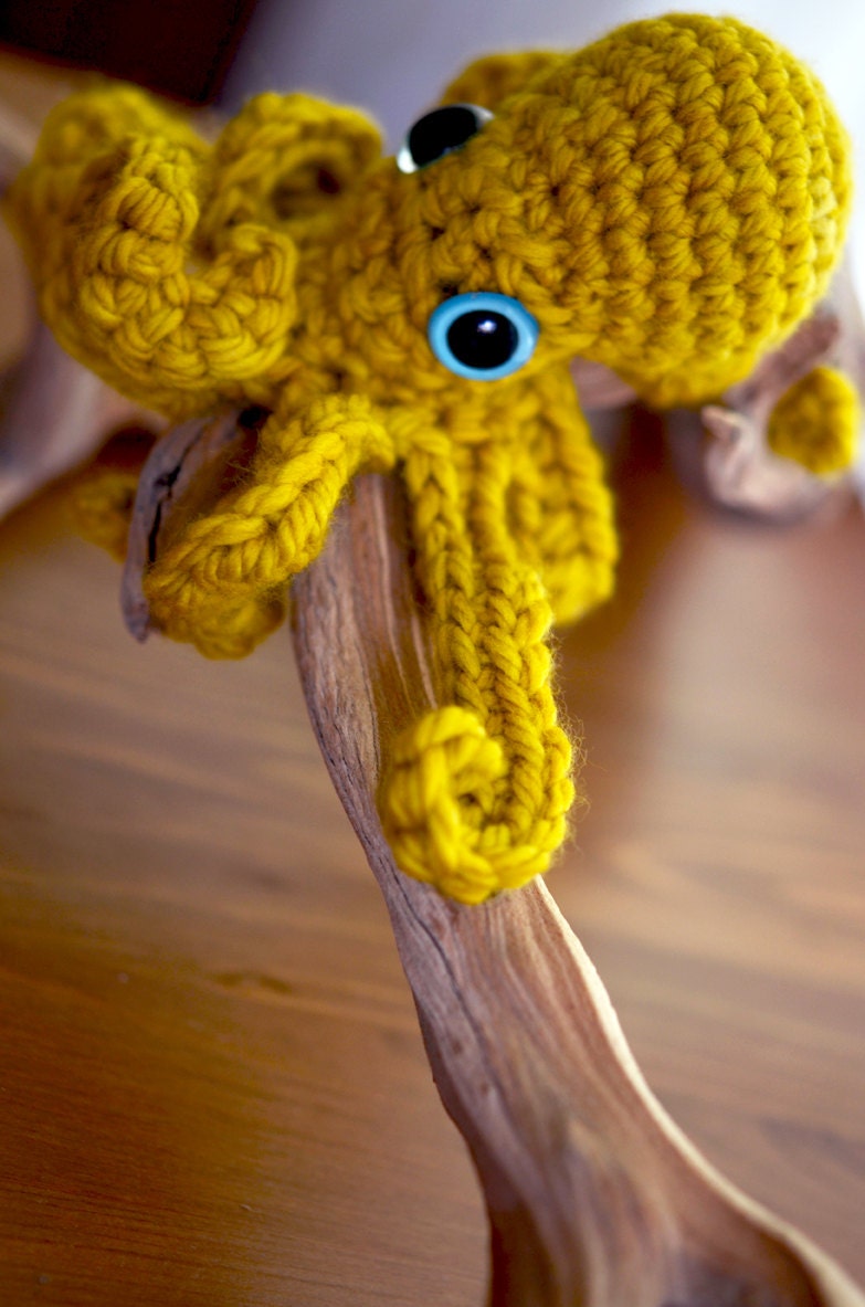 baby yellow ochre octopus