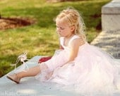 Flower Girls Dress Pale Pink