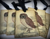 Spooky Little Owl-Vintage Style Gift Tags