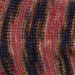 Deborah Norville Serenity Sock  Yarn- 2 Skeins- Picasso