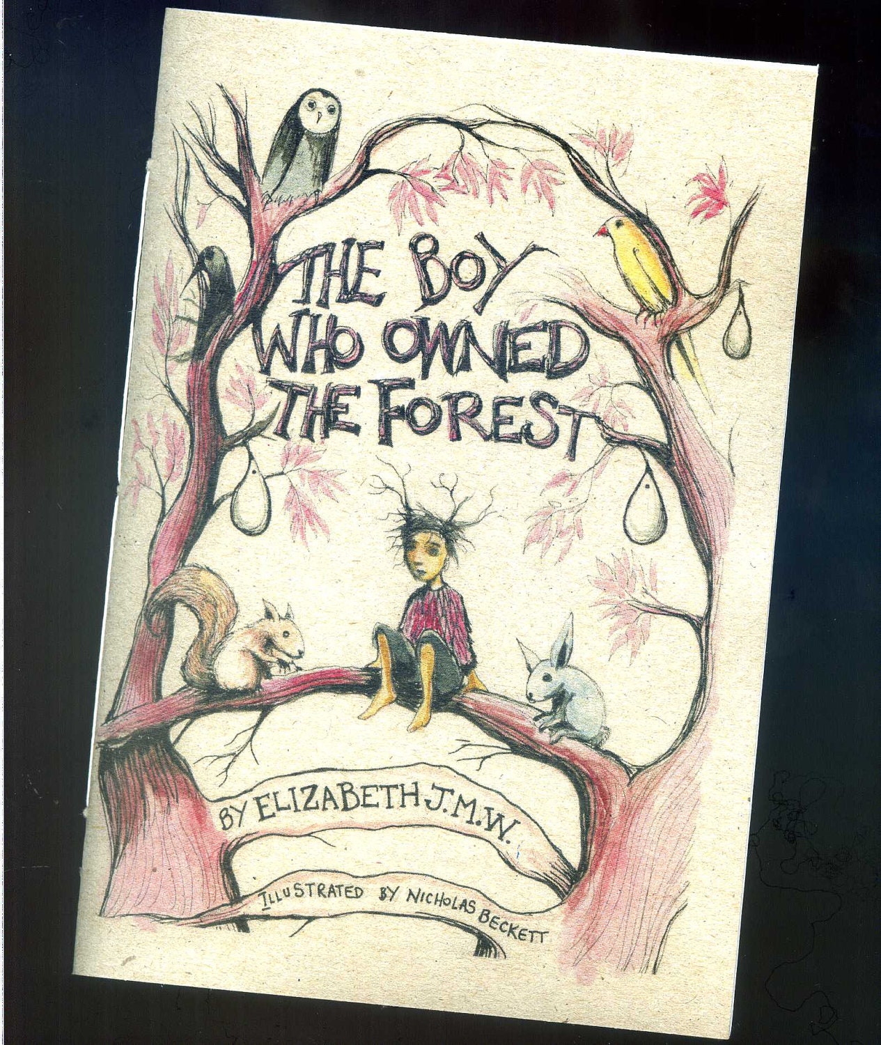 The Boy Who Owned The Forest - Elizabeth JMW - illustrated by Nicholas Beckett - 2nd Edition