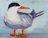 Water Bird Oil Painting, Original on Gallery Canvas, Small 5x7, Shore Bird, Duck, Wildlife Seagull, Gull