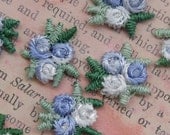 PALE BLUE Posie Clusters