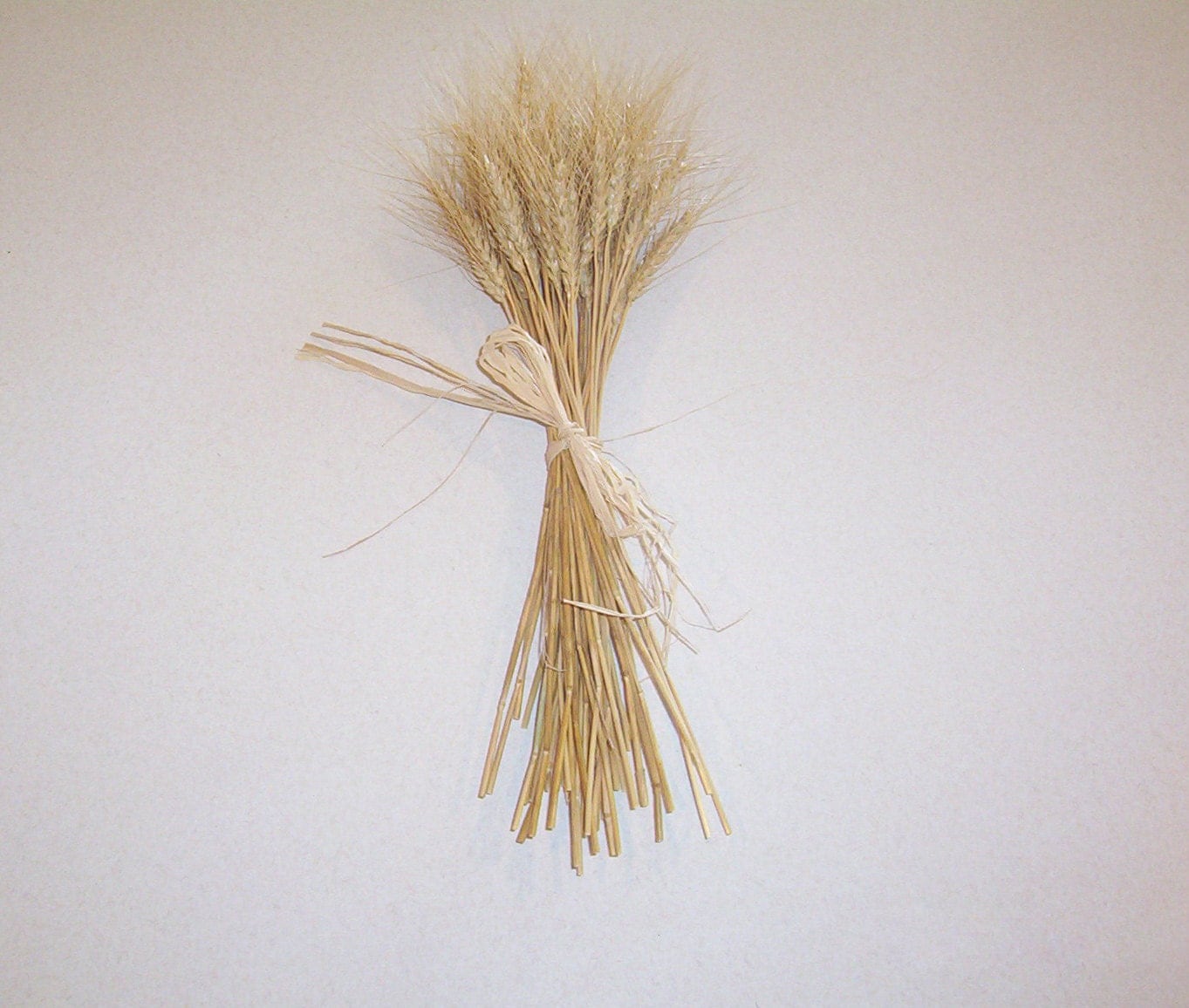 Bundle Of Wheat