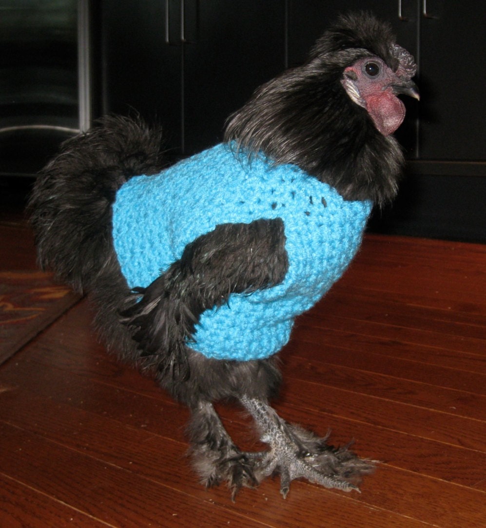 Chicken Sweater