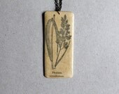 Botanical necklace - Phalaris arundinacea