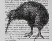 Kiwi Print on Vintage French Book Page - 5 x 7 Kiwi Bird Print