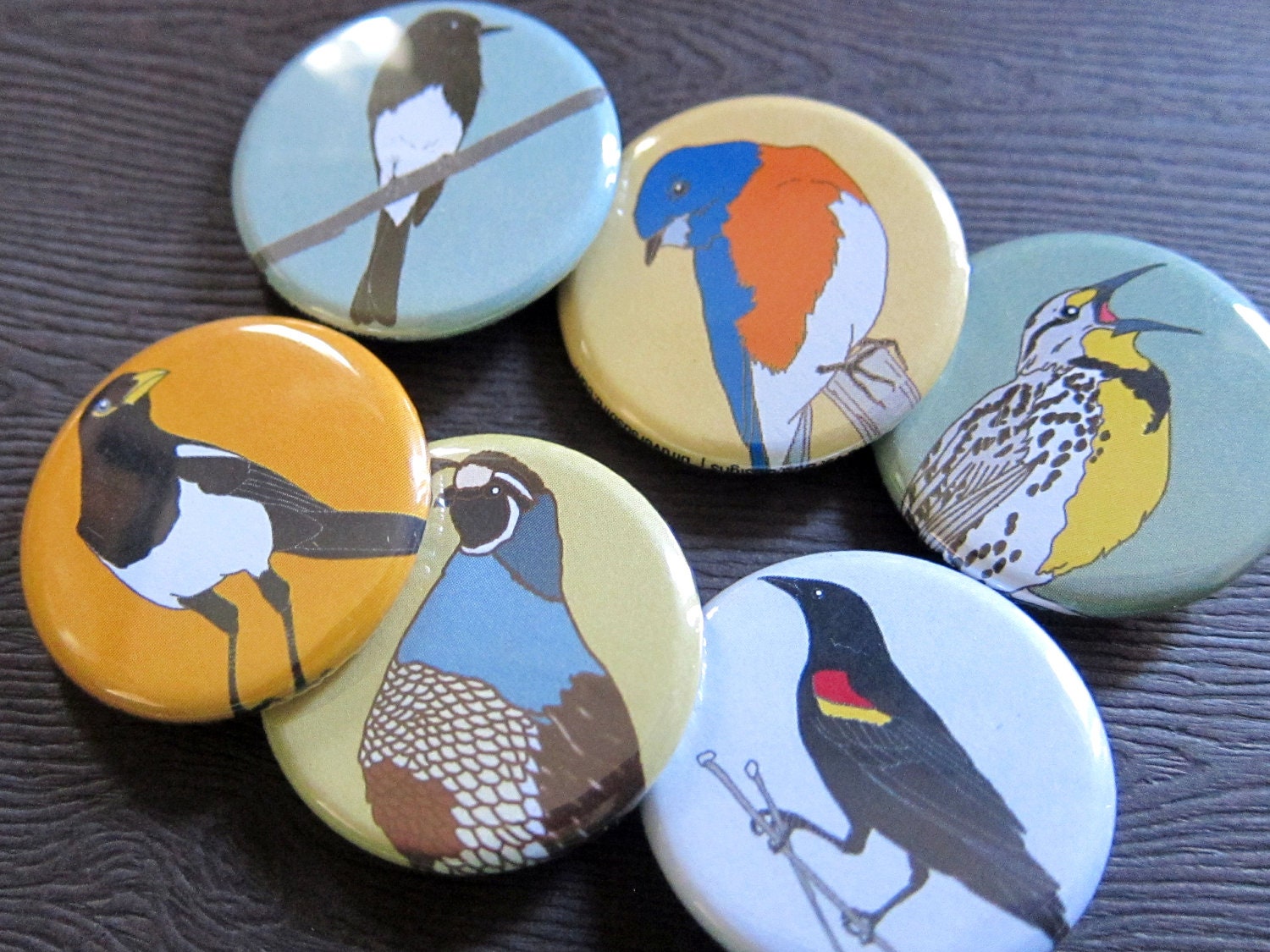6-Pack of Bird Pinback Buttons (series 6)--Birder Gift