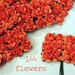 144 Tangerine Orange Paper Flowers - Small Bouquet - weddings, party favor making, invitaion making, scrapbooking