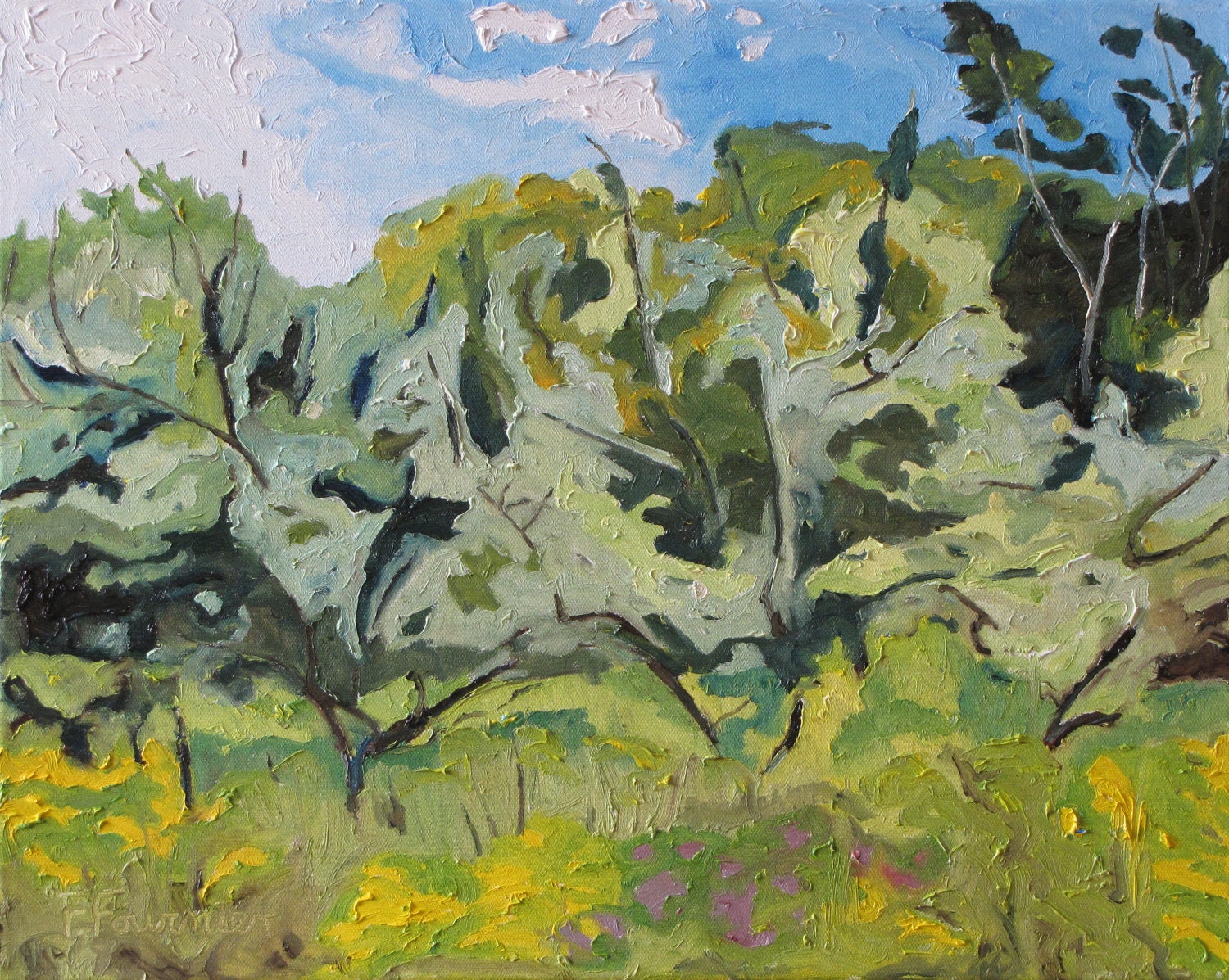 Art Original Oil Painting Plein Air Landscape Tree Canada " The Wild Orchard " 16" x 20"