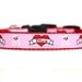 5/8 or 3/4 Inch Wide Dog Collar with Adjustable Buckle or Martingale in Diva Skull