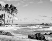 Kauai beach photography-  Palm Trees Coastal wall decor Black and White Hawaii travel photo Wall Art -11x14 Metallic paper