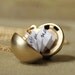 Secret Message Locket - Matte Gold Ball Locket Necklace