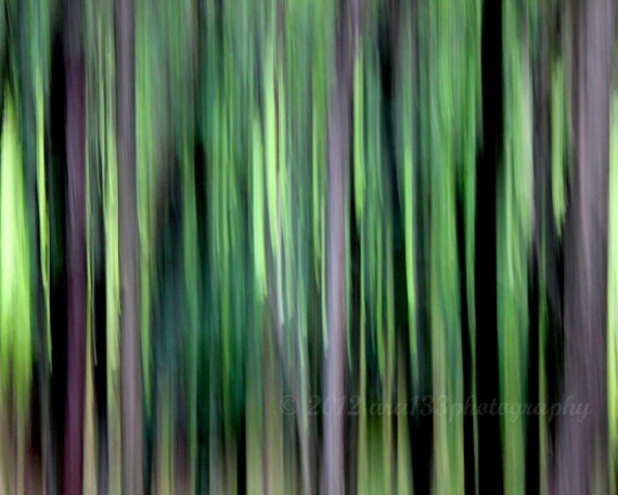 50% OFF SALE- Abstract Home Decor, Surreal, Green, Woodland Forest, Nature Photography, Landscape, 8x10 inch Print -Verdure