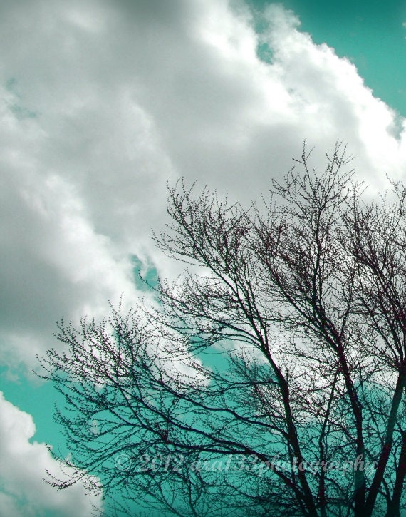 Nature Photograph, Tree Photography, Sky, Cottage Chic Home Decor, Aquamarine Decor - 11x14 inch Photo Print - "If You Listen"