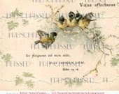 Instant Download TWO Digital Scans French Bible Verse Spring and White Snow Birds Altered Antique postcard photos