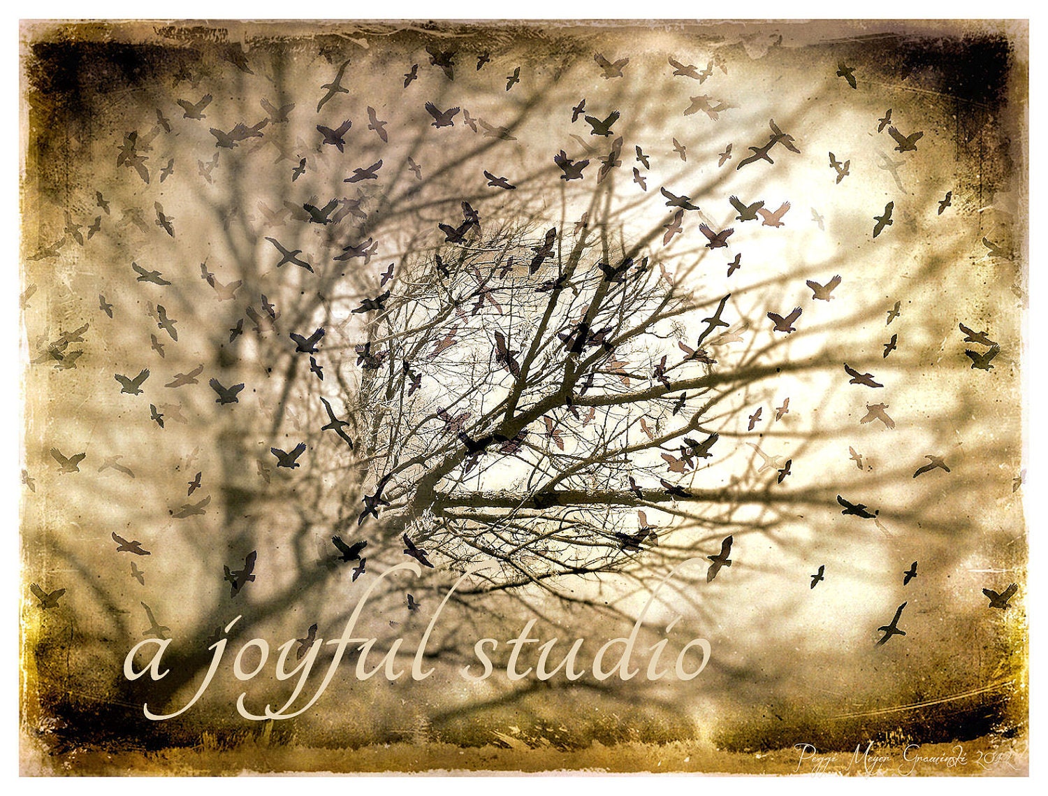 8X10 Print Halloween Autumn Trees and Birds Wall Decor Fine Art Photograph Mixed Media Digital Collage Altered