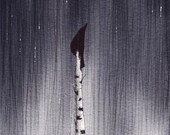 straight rain crow PRINT