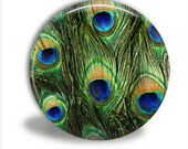 Pocket Mirror OR Bottle Opener/Keychain - PEACOCK FEATHERS