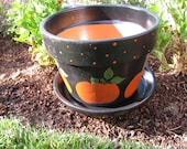 Pumpkin Planter