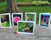 Set of 5 Blank Greeting Cards - Enchanted Gardens - Blank Inside