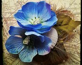 Delicata - Petite Bijou Hair Clip